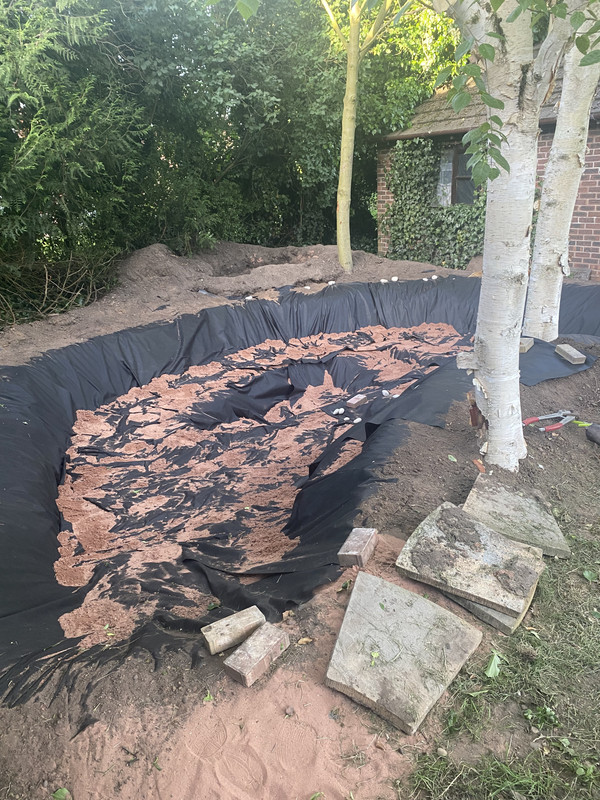 B89948C2-ECA0-4209-80BE-32B2C9208DCF