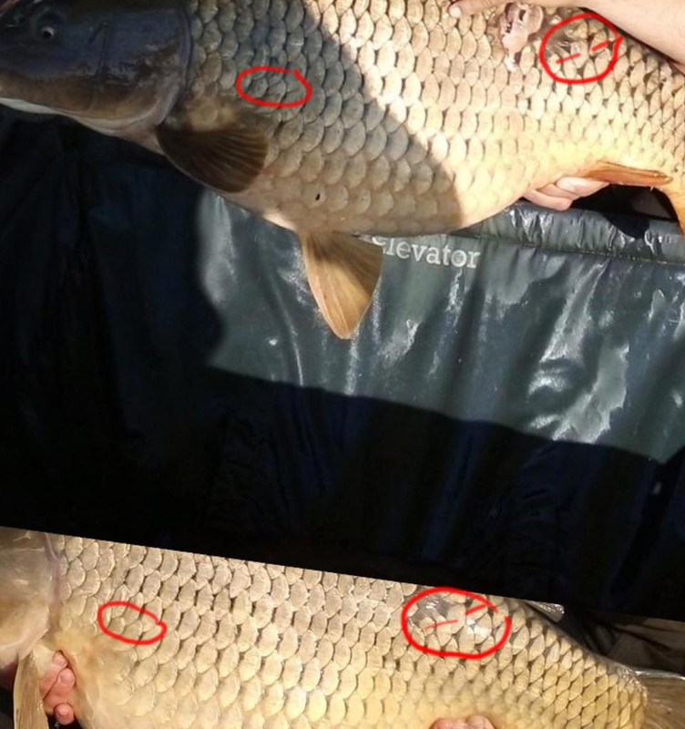 48155192-4D92-4ACA-8CCE-57F8687622CE