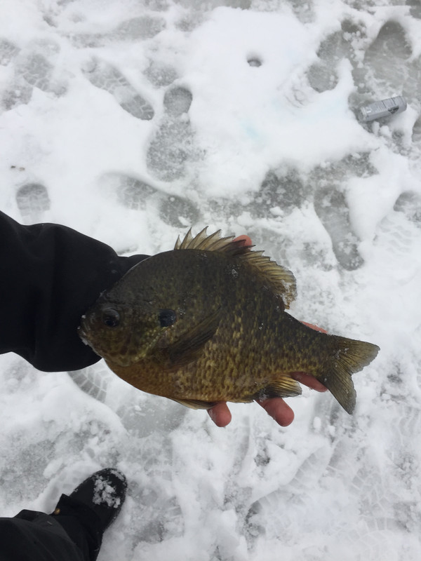 138E9A23-23B0-49AF-9542-95278E8641F4