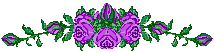 purple 9