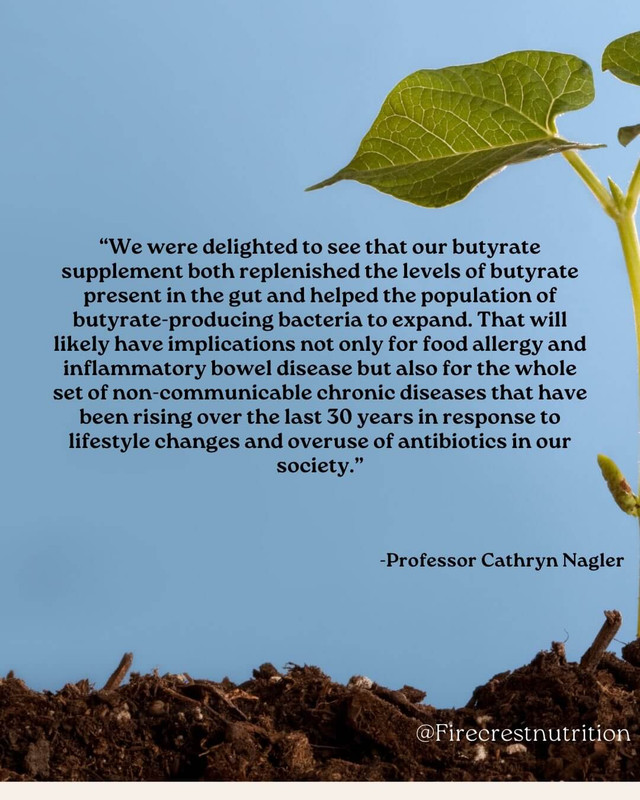 Butyrate has a wide range of beneficial effects in the body especially in relation to suppor(3)
