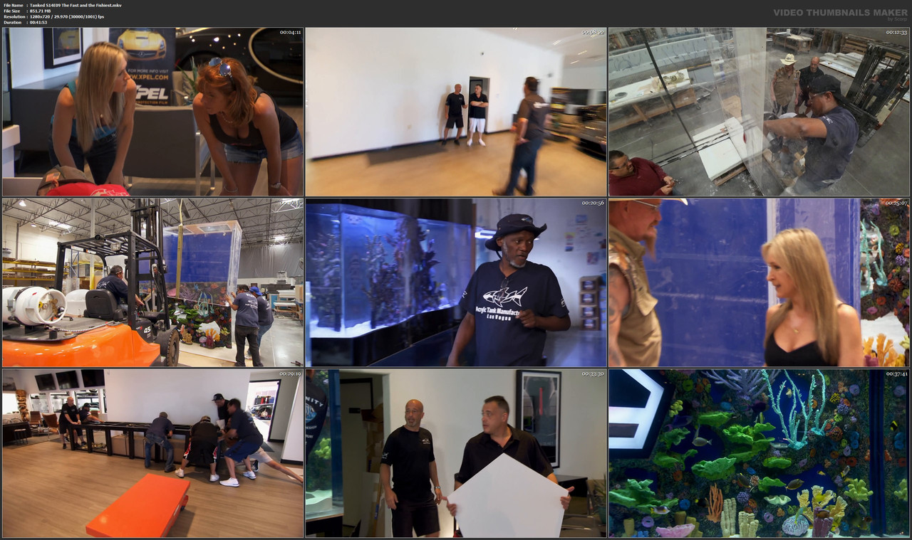 Tanked S14E09 The Fast and the Fishiest.mkv