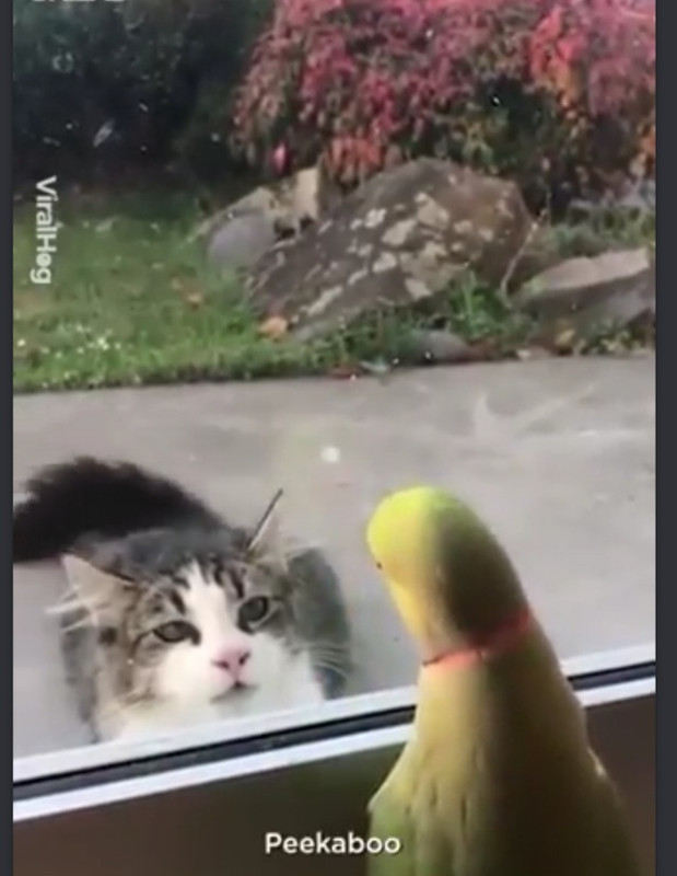 Screenshot 20260228 094246 Chrome