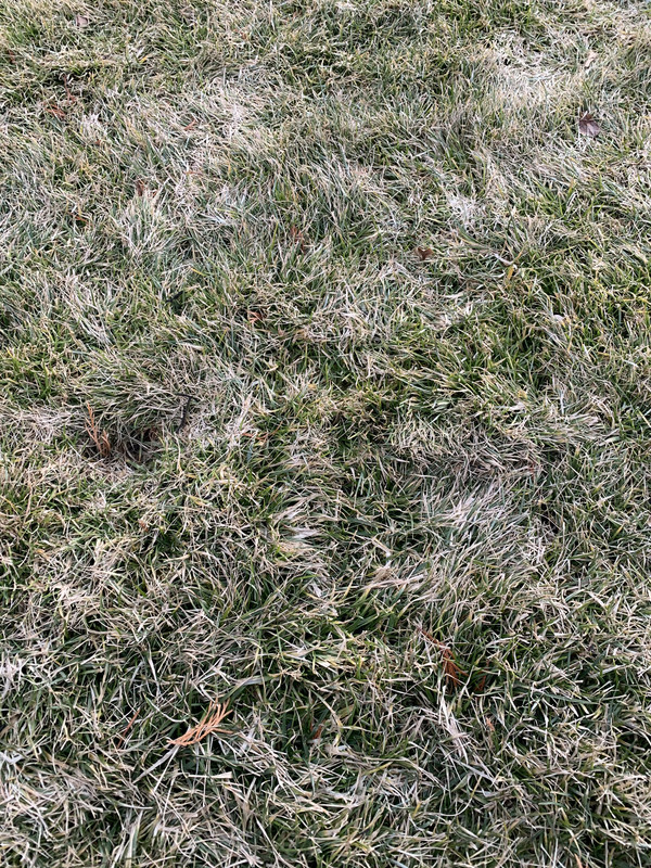 501A7C79-8337-477E-9655-39DFC7B3B57A