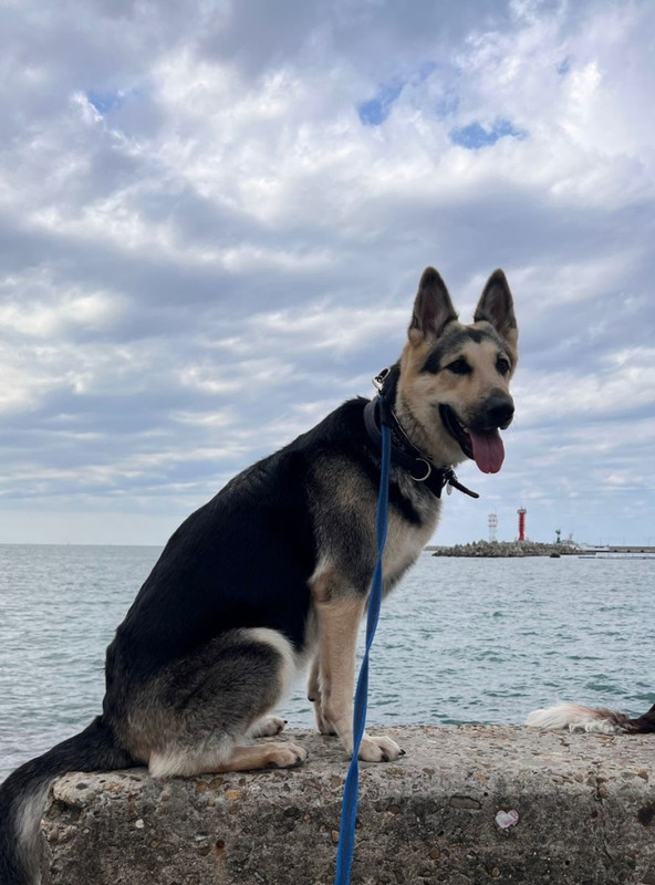 b0eKoP-xM3nXjpJKK7s9smLid0dRqR2iC1Xehw7e6s0jaj0xWQeRkrSsmgyJkcHHcLvdClNkoSfvORyKZwuwWWmo