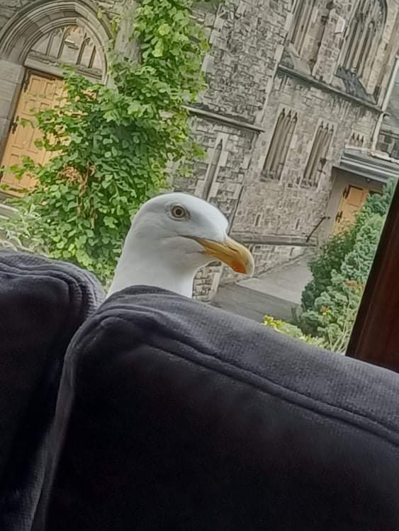 received_193145972762471