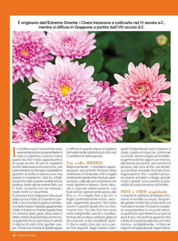 Pol Ver Ott 2021 (2)