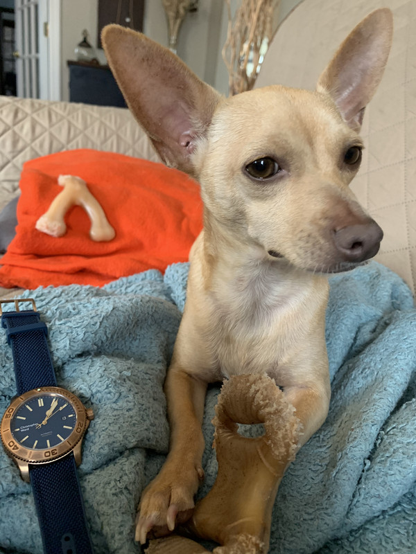 B395EF9D-E5F6-4CFC-8C30-2DBE6279CA22