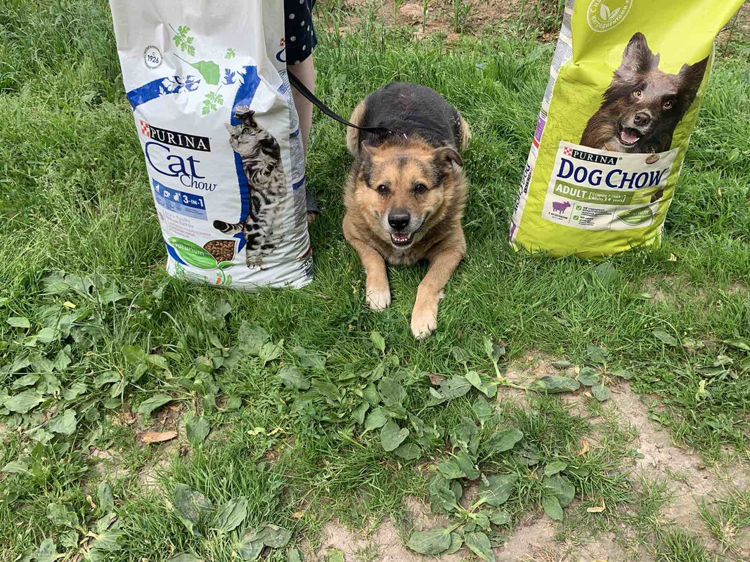 CA00E3C9-59AE-4591-A0AB-4AC1F07FA75E