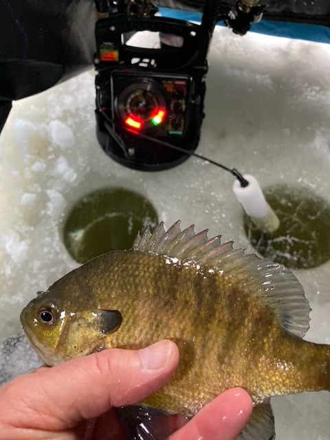 93D090BF-DC4D-458E-AE7D-FEC068187E52