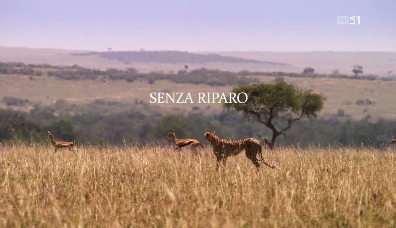 vlcsnap-2016-12-12-12h04m21s934