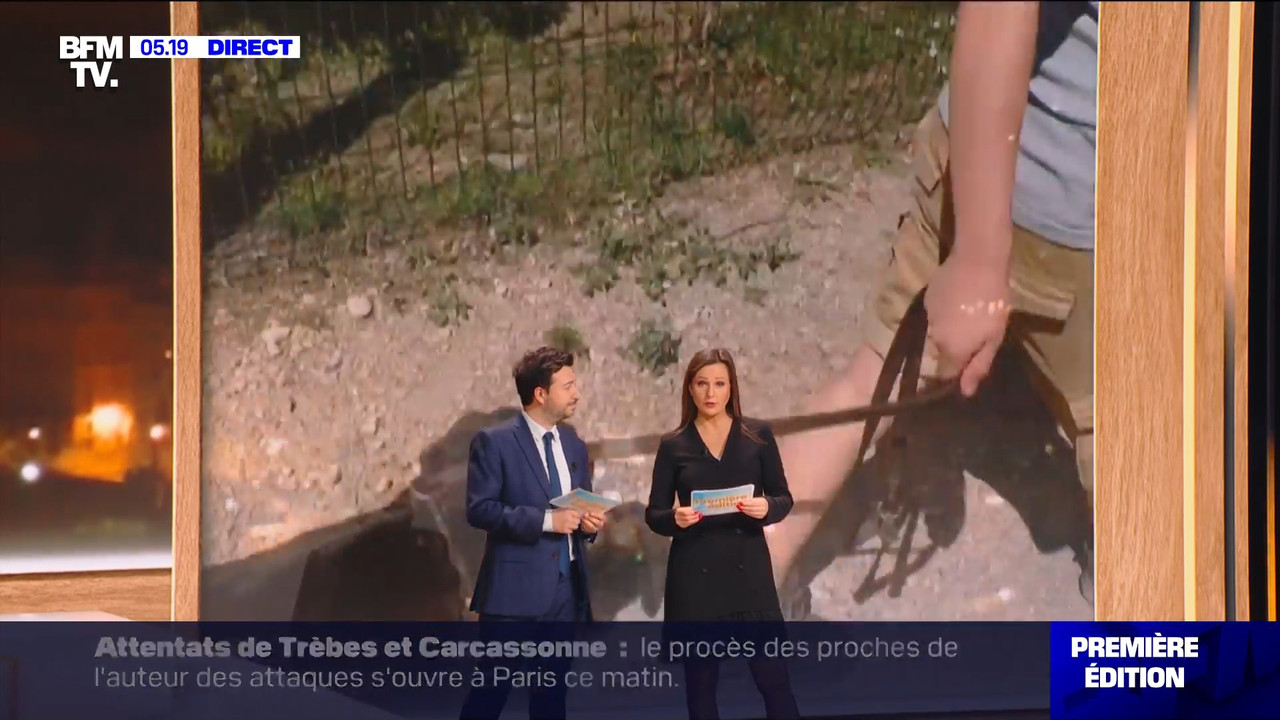 BFMTV 220124.mp4_snapshot_00.54.15.820