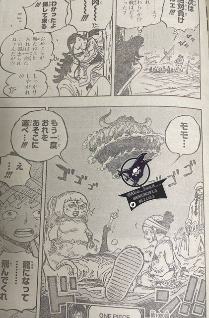 1020 one piece spoiler