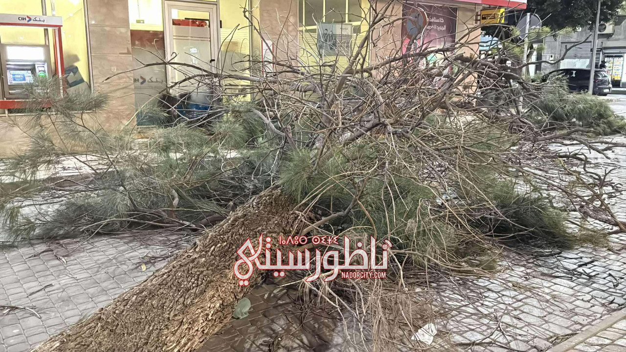 575784183-809778375100293-443540621629471925-n