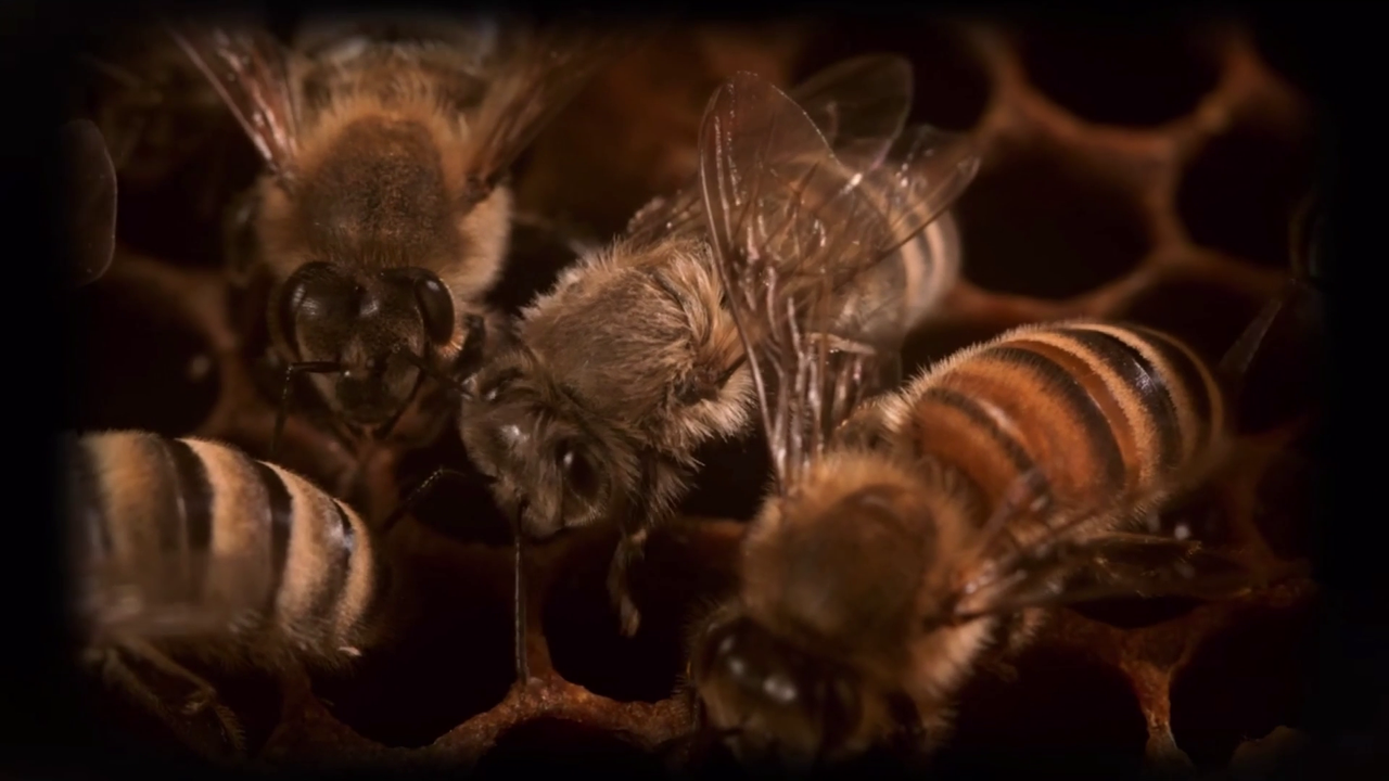 vlcsnap-2023-09-12-14h23m03s983