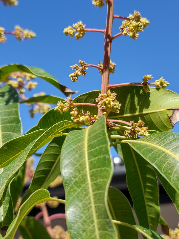 IMG_20210315_114424771_HDR