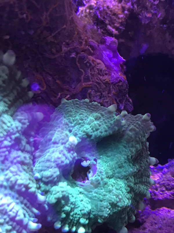 89987270-053C-4B50-8E6F-E91F5BEB927B