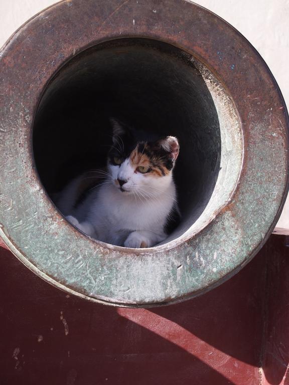 Такая близкая Африка. (ЮАР. 22 дня и 4200 км. Ноябрь-Декабрь)