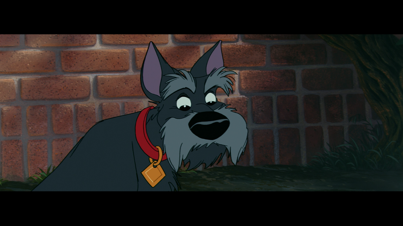 lady_and_the_tramp_05