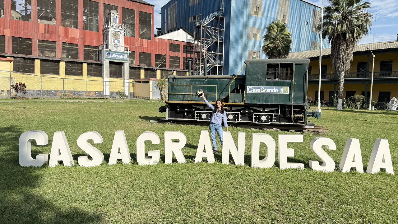 Galería 1