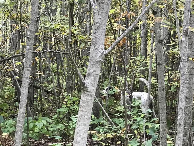 FD44DEA0-18DC-4971-9A2F-B68F4EEA16C0