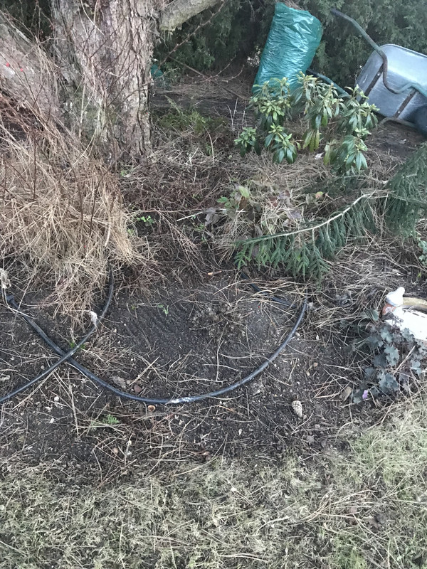 8A19CE5C-CAD7-432B-BC06-B8569B4A6066