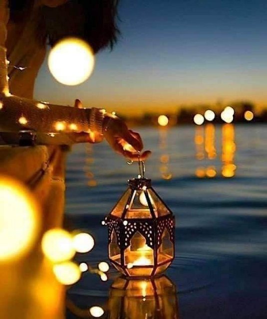 svjetlosfeneje439933