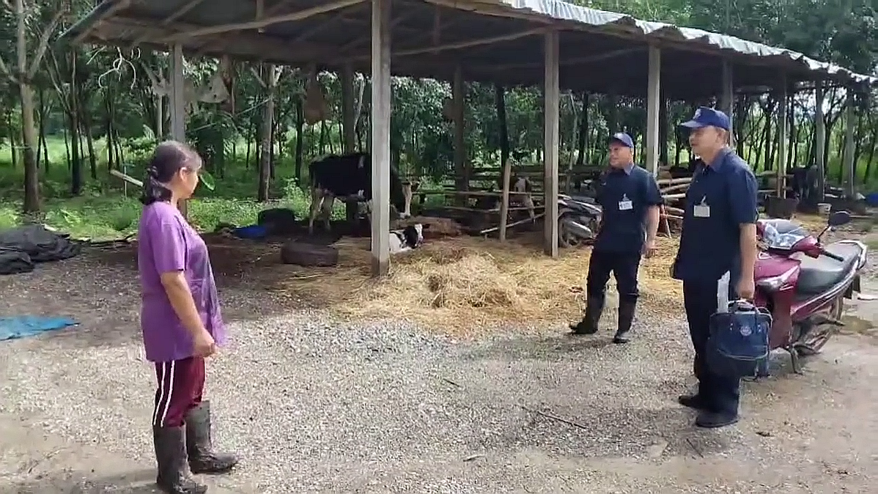 vlcsnap-2025-09-23-16h33m53s387