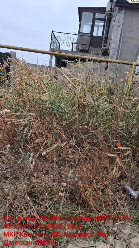 photo 2025 11 24 10 23 07