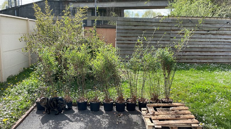 9305D2D8-8199-4D72-B94E-A8ADCA60294C