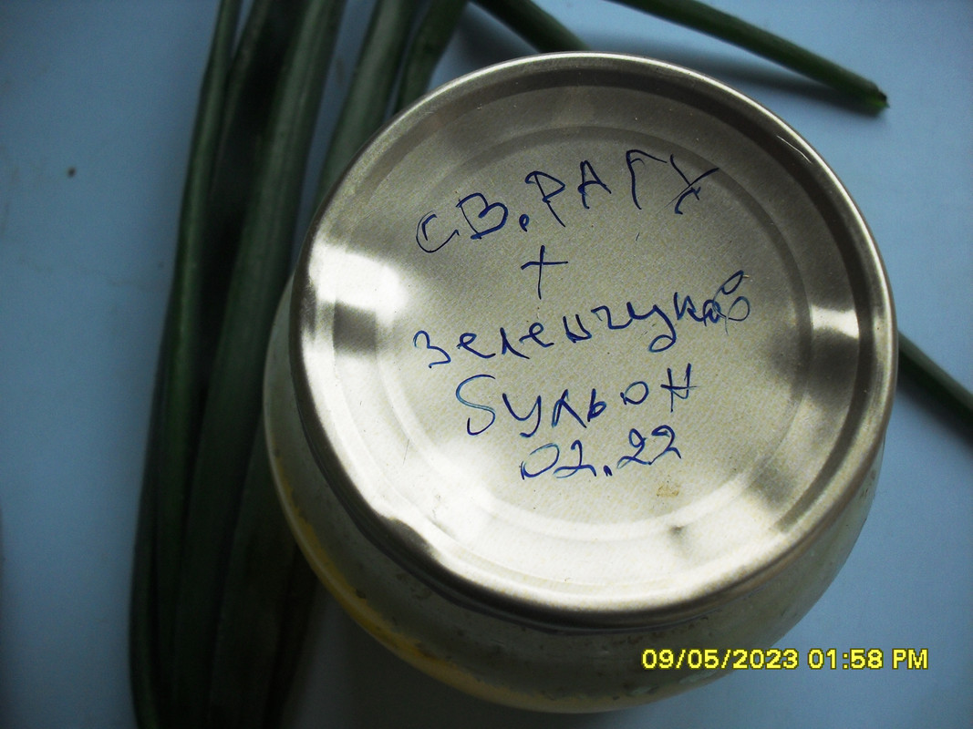 SDC13877
