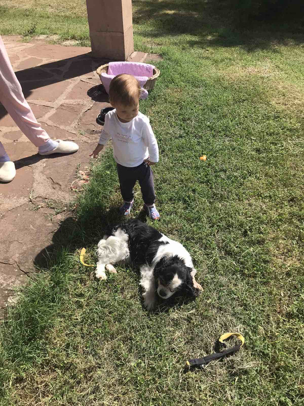 64F804DF-0250-424D-88CC-C6C795B475BD