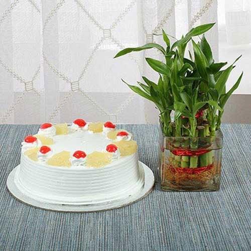 Pineapple Cake N Lucky Bamboo Image