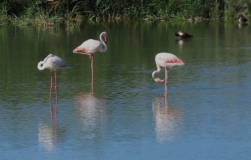 WhatsApp Image 2025-10-07 at 19.51.02_924ad878