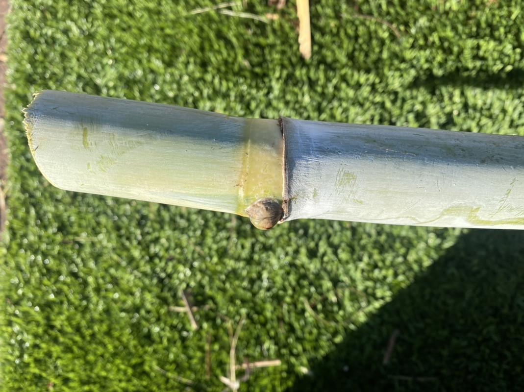 50BD257C-EE6A-426E-A671-1A6D456F058F