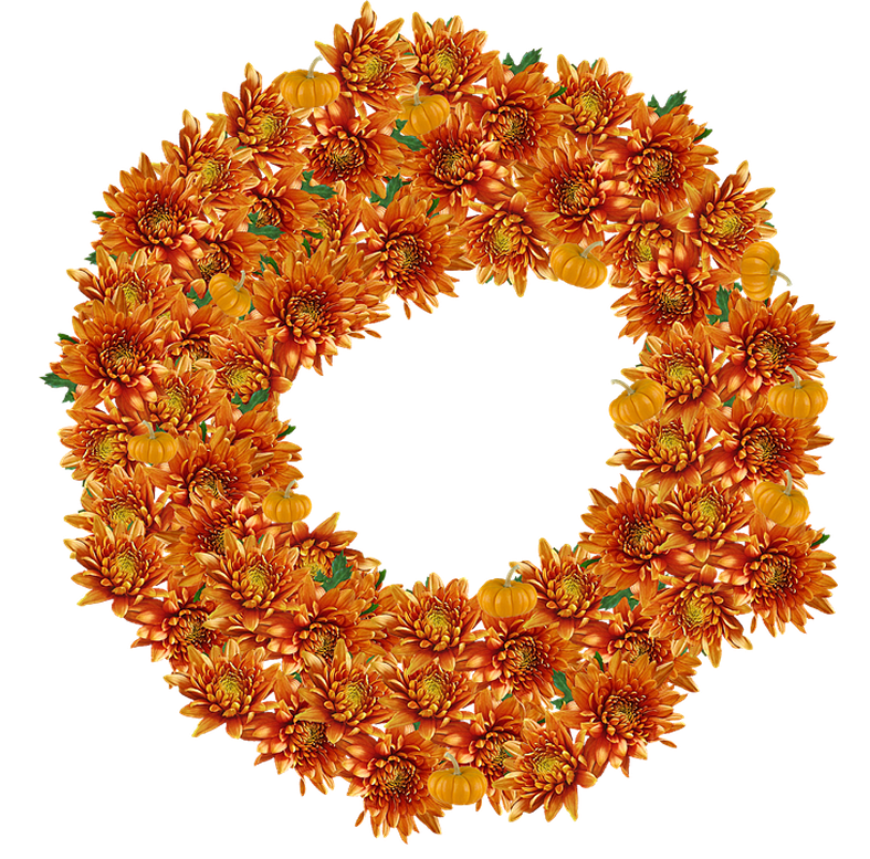 Halloweenpumpkinkitpudnframe7