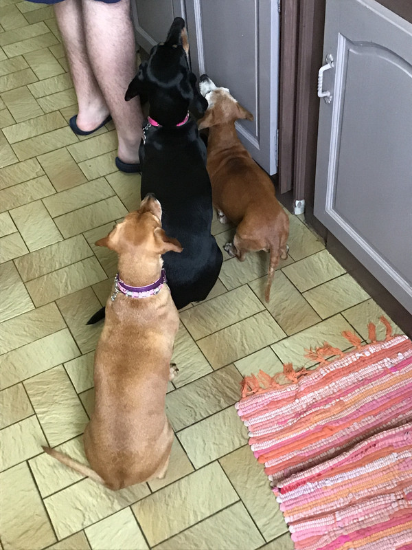 [Image: 075-DF5-A3-4393-4-A0-E-9-A4-E-AF62-A18-AAE2-F.jpg]