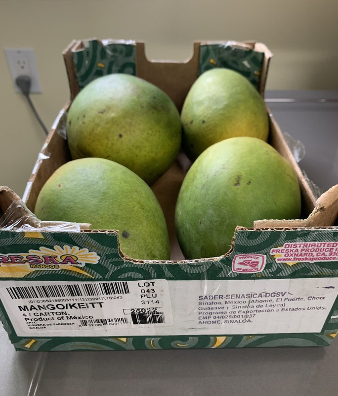 909B5E18-3437-4967-93E1-66733B9171AF_1_201_a