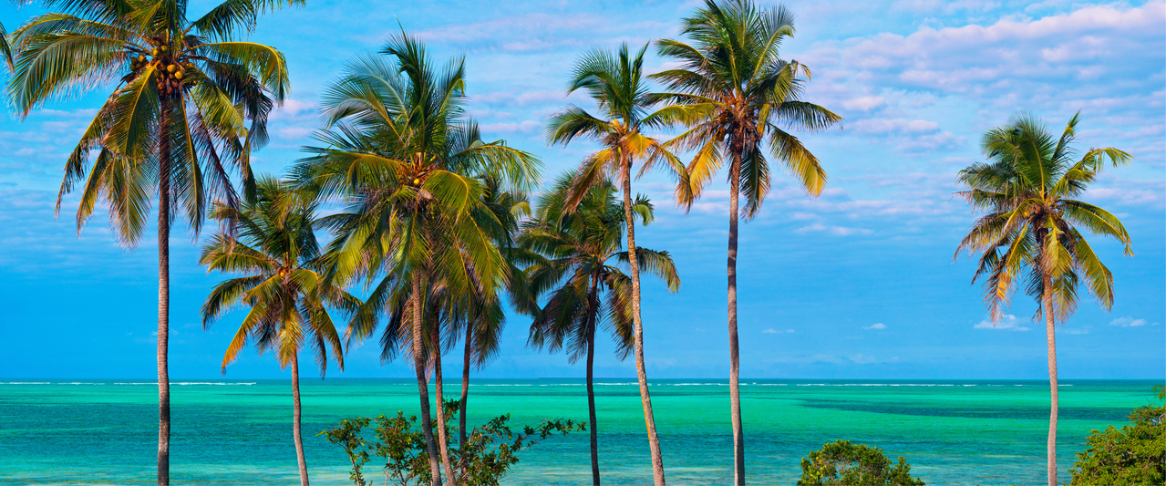 Zanzibar turquoise ocean
