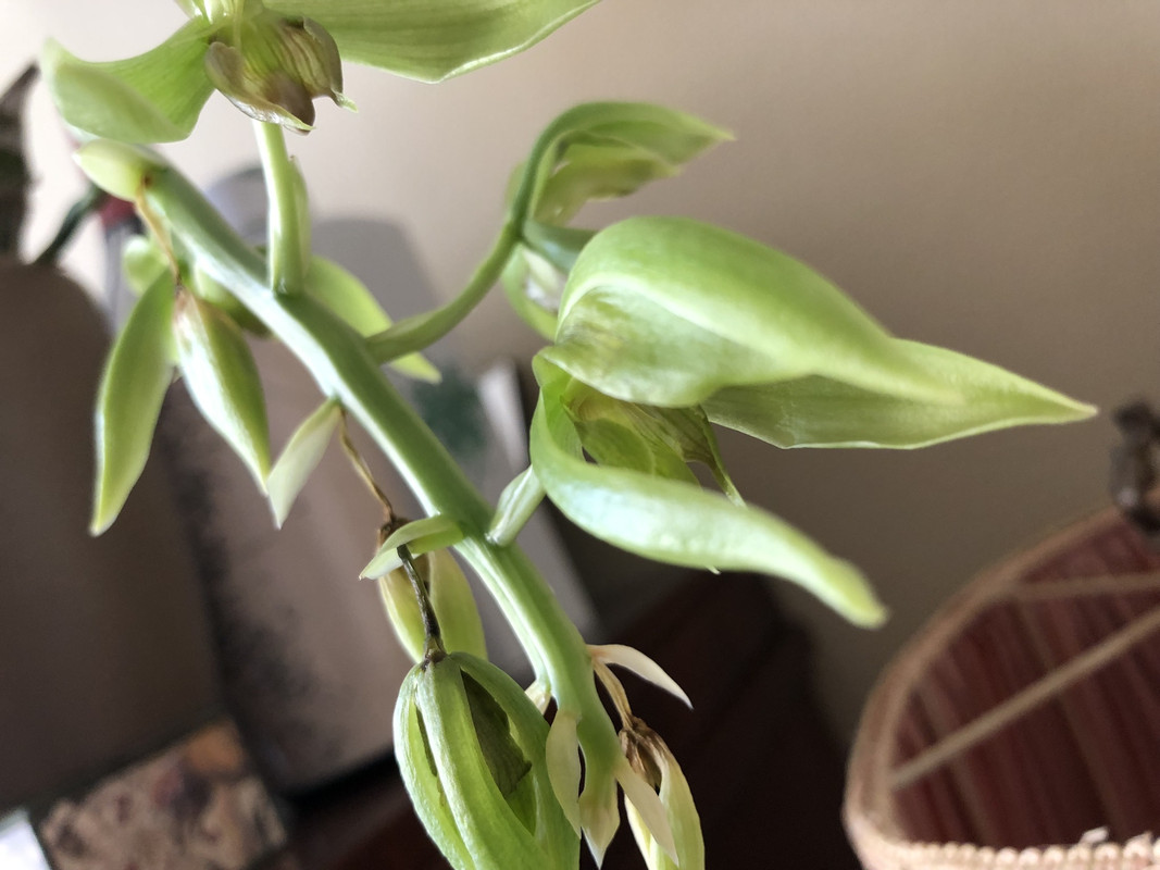 1B384961-3896-41F1-A82F-8D53D14A7A7F