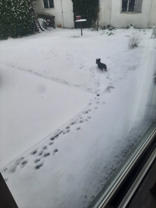 [Image: IMG-20240117-WA0004.jpg]