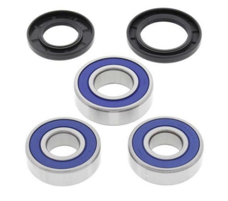 Lagerkit fr Hinterachse MIT Ruckdmpfer DR 650SE - DR 350S