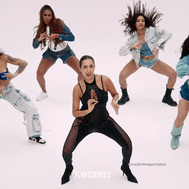 9-Malaika-Arora-Hot-in-Chillgum-Song-by-Yo-Yo-Honey-Singh-My-Vantage-Point