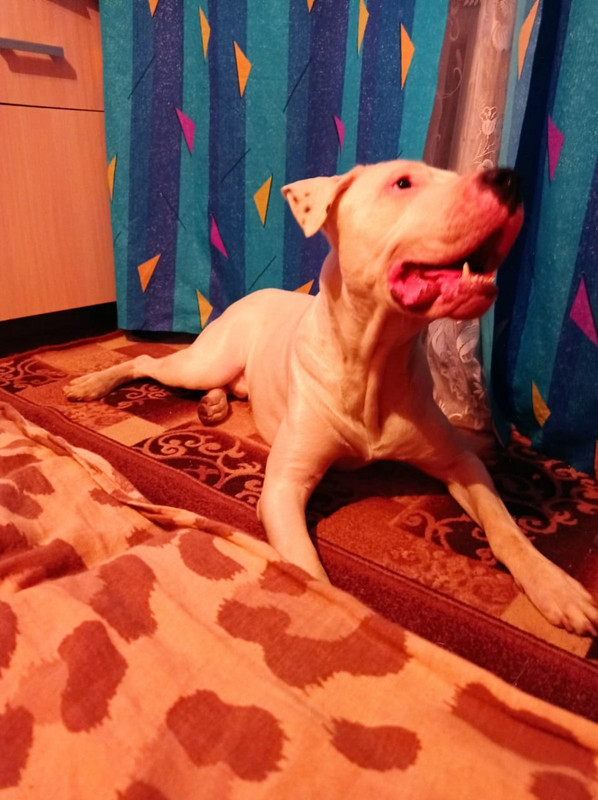 8A606731-6BEE-49C6-A782-0E5C35A22607