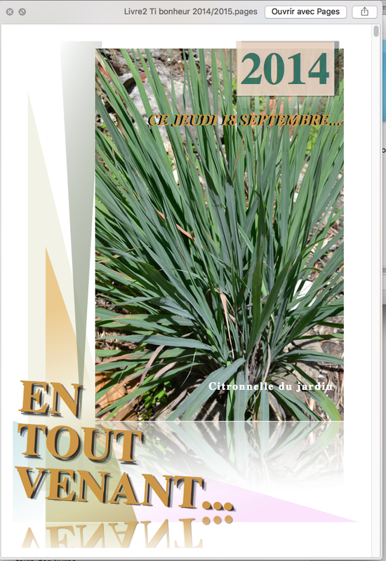 Capture d’écran 2017-08-09 ? 17.00.14