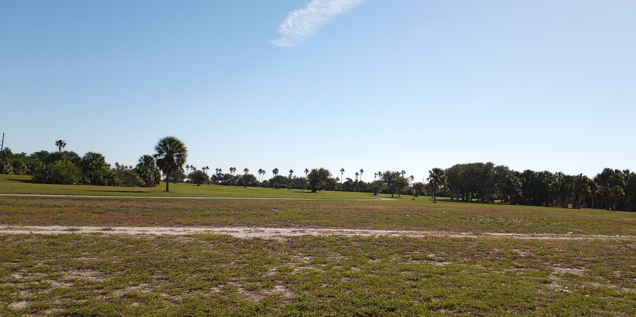 [Image: De-Soto-Tampa5a.png]