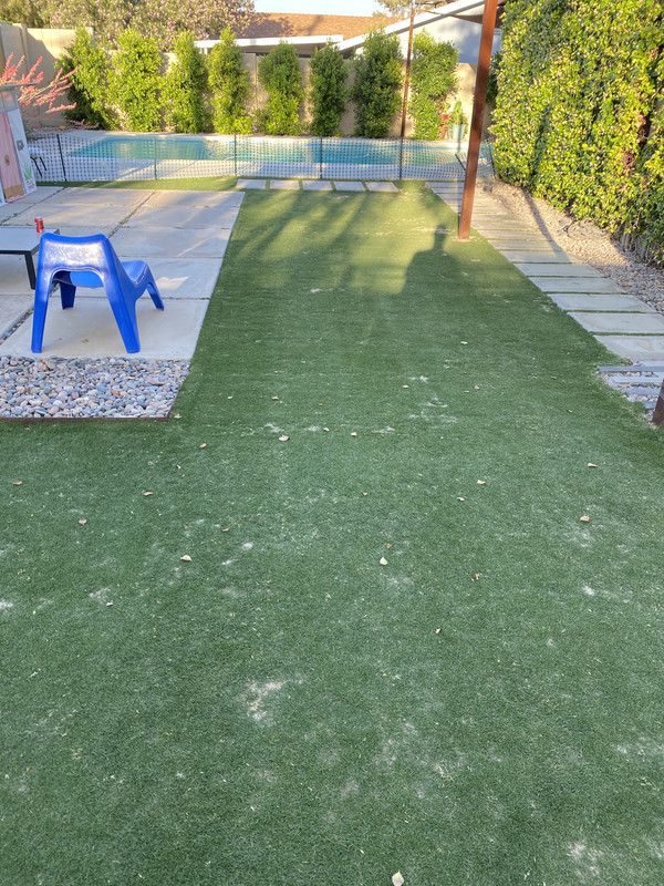 BA9AA362-5383-476E-90E2-4732E5A5A089