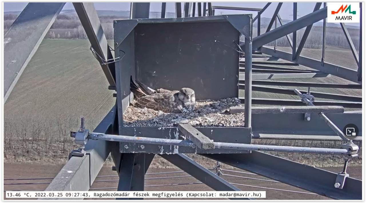 Screen Shot 03-25-22 at 09.28 AM