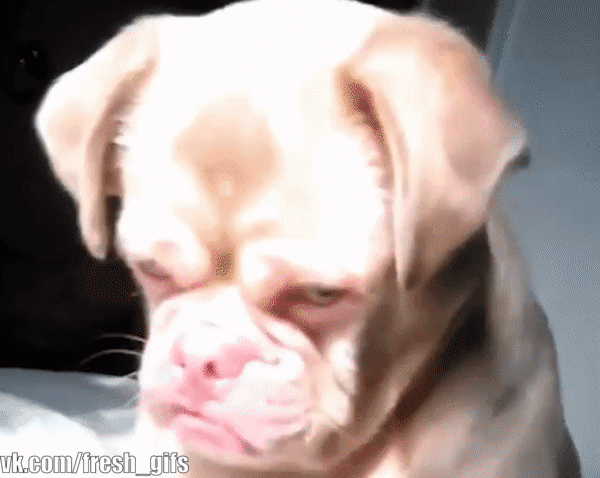 04204CB3-FA1B-4594-B365-785D13CBE650