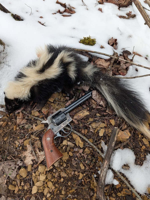 PXL 20260318 211347604